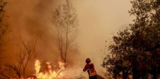 Europa enfrenta emissões recordes de incêndios florestais e calor extremo em 2025