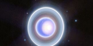 Pistas cósmicas: anillos misteriosos alrededor de Urano insinúan lunas ocultas