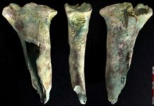 Why Bronze Age Miners Clung to Bone Tools Despite Having Metal