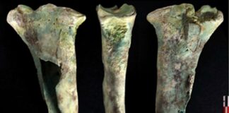 Why Bronze Age Miners Clung to Bone Tools Despite Having Metal
