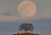The Blue Moon Is A Trap (And Here Is The Fix)