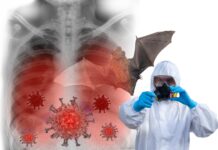 Uno scambio. Fine della corsa per i virus dei pipistrelli.