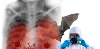 One Swap. End of the Line for Bat Viruses.