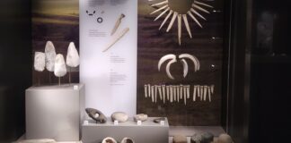 DNA entlarvt den Stonehenge-Schamanen-Mythos