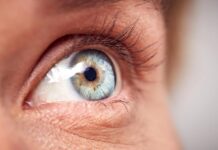 The POLO Pathway: How a New Lymphatic Network Could Treat Macular Degeneration and Glaucoma