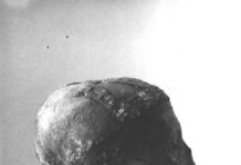 Mengapa para arkeolog memenggal kepala Tutankhamun pada tahun 1925