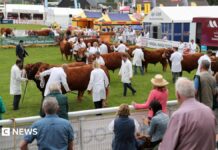 Subventions agricoles au Pays de Galles : décomposition du budget d’un milliard de livres sterling du programme d’agriculture durable