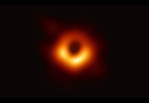 Can planets survive inside the accretion disk of black holes? New physics backs Interstellar